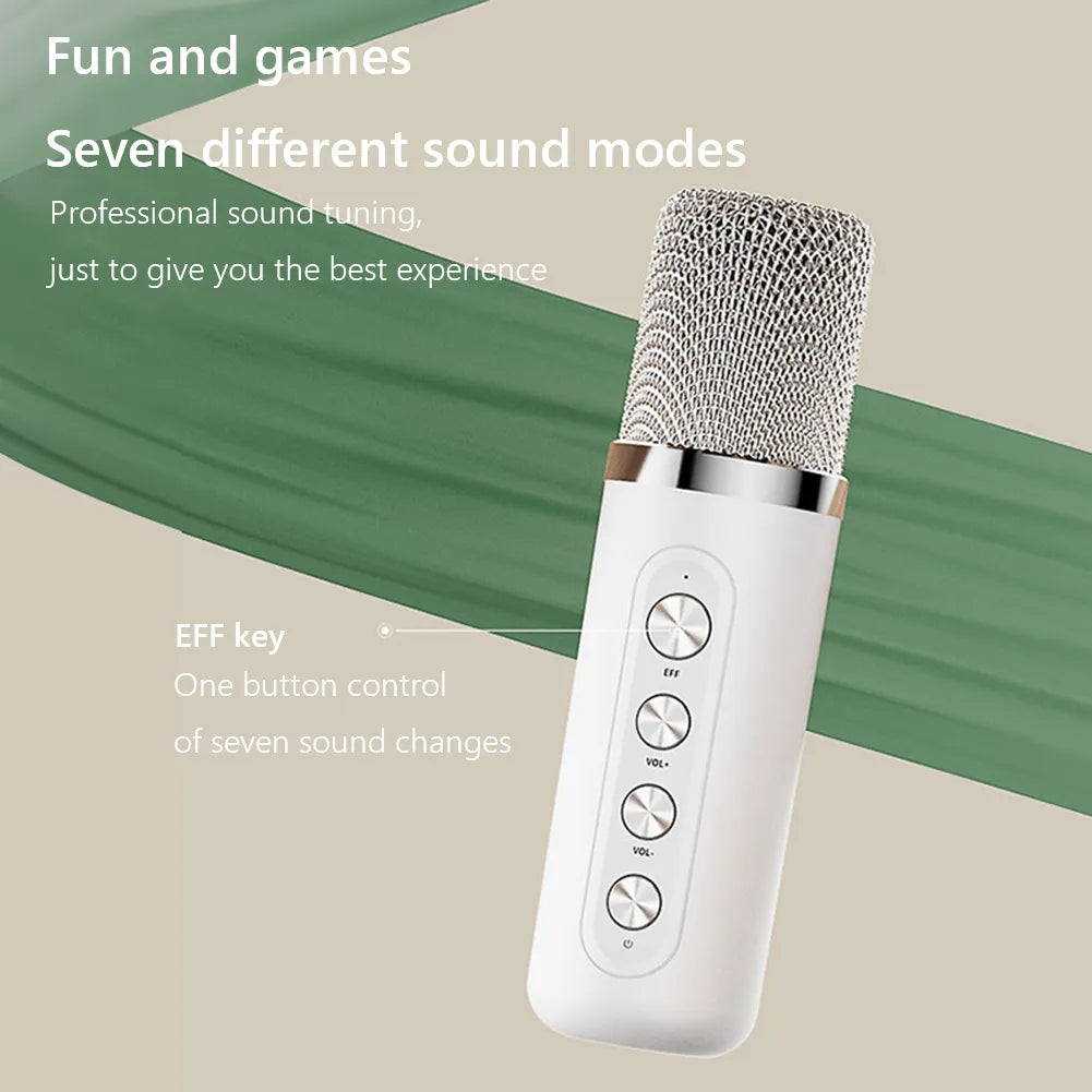 Portable Handheld Karaoke Machine with Dual Microphone